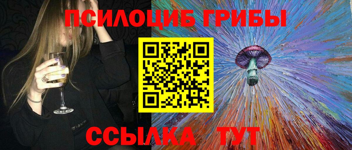 Псилоцибиновые грибы Psilocybe  закладки  Сочи  Псилоцибиновые грибы прущие грибы  Вход с VPN 